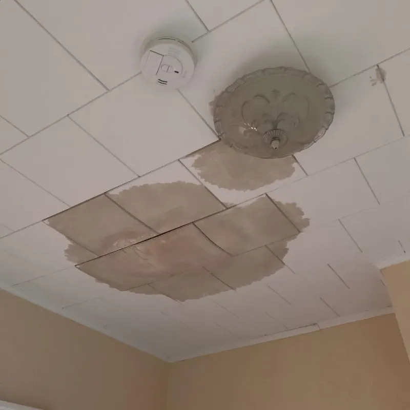 Ceiling Water Damage Repair in Snyder, TX