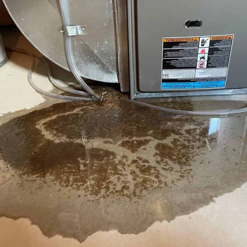 Pipe Burst and Leak Restoration in Snyder, TX