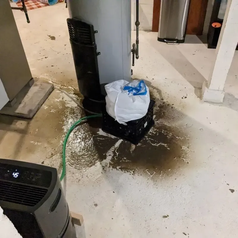 Sewage Backup Cleanup Service in Snyder, TX